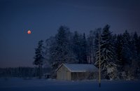 63 - BLOOD MOON - SIMONEN PIA - finland <div