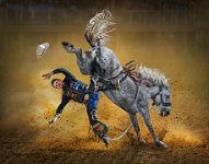 FIAP HONOR - HORSE TAMING - LAM CHAU KEI CHECKY - Hong Kong <div