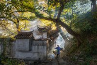 FIAP HONOR - SHEPHERD INTO - AU YUEN YAM - Hong Kong <div