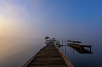 149 - ENTRE BRUME ET HEURE BLEUE - LE CARRE VIRGINIE - France <div