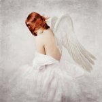 180 - FALL OF THE ANGEL - WENDA ELZBIETA - Poland <div