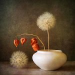 341 - STILL LIFE WITH PHYSALIS AND DANDEL - NABZDYK IWONA - Poland <div