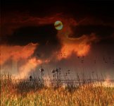 362 - FLAMINGO SUNRISE - VISWANATHAN ASHOK - India <div