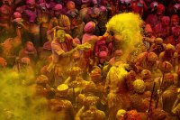 370 - SPLASH OF YELLOW - SEN MRINAL - India <div