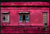 393 - WINDOWS IN THE YARD - GOLDIN LEONID - Israel <div