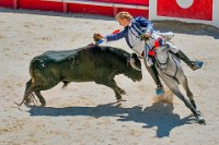 401 - CORRIDA EQUESTRE 11 - CAUSSE ERIC - France <div