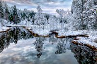 452 - FIRST SNOW 2 - PURANEN MATTI - Finland <div