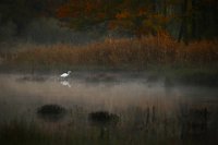 466 - BLANC - COULANDEAU JACQUES MICHEL - France <div