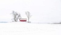 57 - SMALL BARN IN MIST - GARBERG GORAN - Sweden <div