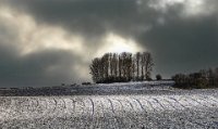 67 - CHEMIN DE LUMIERE - GILLIOT MICHEL - Belgium <div