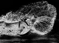 DIPLOME - SURF BABY - LEE GRACE - Australia <div