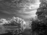 100 - DANUBE AT INFRARED - MIKSIK IVAN - Czech Republic <div