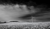 108 - MONO WINDMILLS - OOSTHUIZEN ALTA - South Africa <div