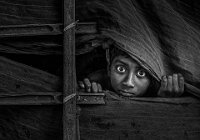 20 - TRAPPED 1 - MANDAL ARINDAM - India <div