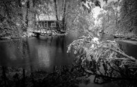 223 - WINTER - PURANEN MATTI - Finland <div