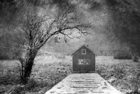 228 - CABANE DANS LA NEIGE - VEKEMANS MURIEL - Belgium <div