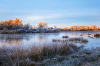 21 - UN MATIN D'HIVER - GARCIA DOMINIQUE - France <div