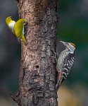 218 - EYE TO EYE - MANDAL ARINDAM - India <div