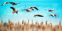 251 - BIRDS SINGING AND FLYING - YANG SHENGHUA - China <div