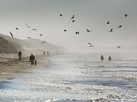 BALADE EN BORD DE MER - BAILLEUL ODILE - FRANCE