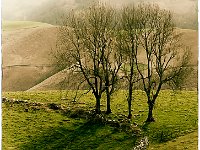 LES QUATRE FRENES - GARIN CATHERINE - FRANCE