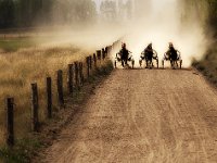 TRIO AU TROT - MANN DAMIEN - FRANCE