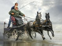 WILD HORSES - WILEMS VINCENT - BELGIUM