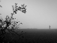 LE MATIN DANS LA BRUME - BAILLEUL ODILE - FRANCE