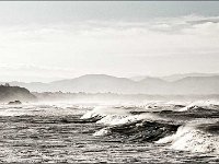 PLAGE DES BASQUES - DUFAU FRANCOISE - FRANCE