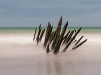 CULTURE MARINE - HOOG MARTINE - FRANCE