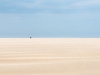 SEUL - MARTIN DOMINIQUE - FRANCE : le platier d'oye