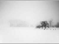 BROUILLARD - DE GUSSEM LOUIS - BELGIUM