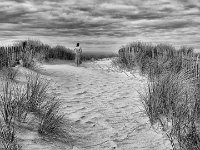 LA DUNE - CACHEUX DANIEL - FRANCE