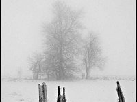 NEIGE EN FAGNE - ANDRIEN DIEUDONNE - BELGIUM