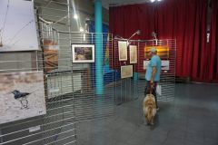 DSC04779.jpg